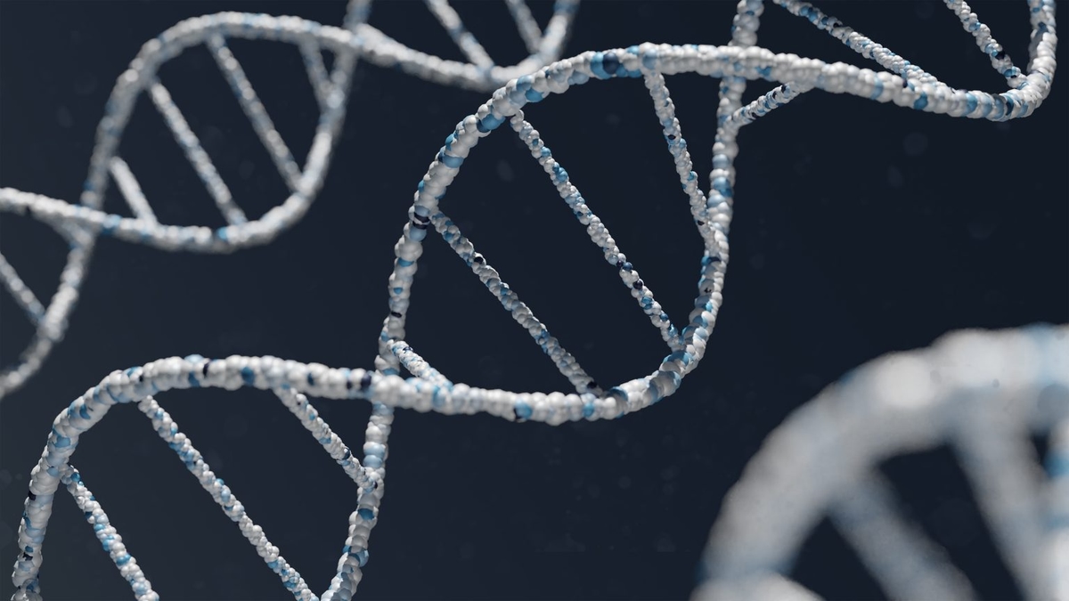 human genome